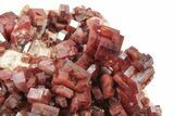 Top-Quality, Deep Red Vanadinite Crystal Cluster - Morocco #231837-3